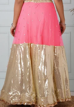 Embellished Net Skirt in Coral Pink