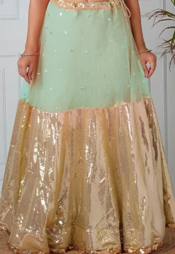 Embellished Net Skirt in Sea Green