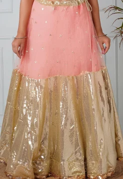 Embellished Net Skirt in Peach