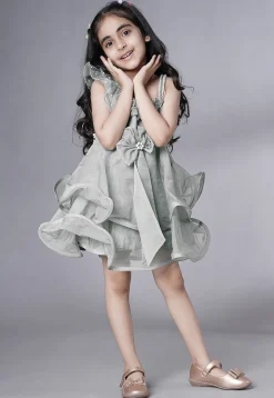 Embellished Organza Dress in Grey
