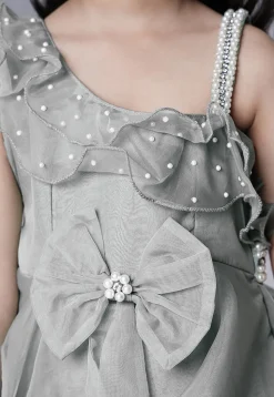Embellished Organza Dress in Grey