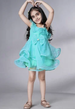 Embellished Organza Dress in Sky Blue