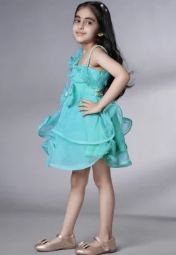 Embellished Organza Dress in Sky Blue
