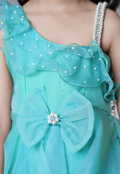 Embellished Organza Dress in Sky Blue