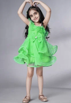Embellished Organza Dress in Light Green