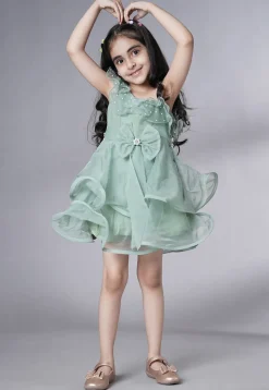 Embellished Organza Dress in Dusty Green