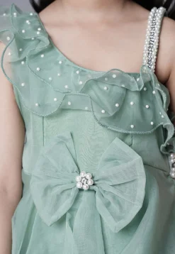 Embellished Organza Dress in Dusty Green