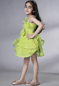 Embellished Organza Dress in Olive Green