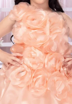 Embellished Satin Gown in Peach