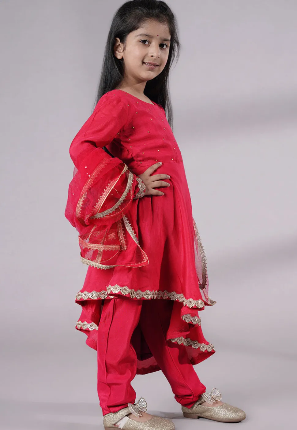 Embellished Shantoon Punjabi Suit in Pink