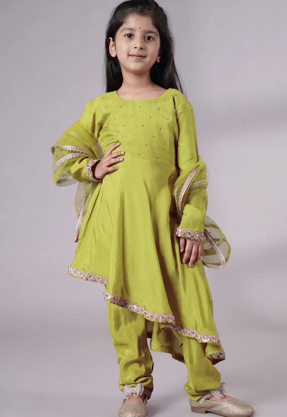 Embellished Shantoon Punjabi Suit in Olive Green