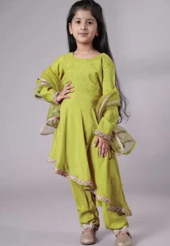 Embellished Shantoon Punjabi Suit in Olive Green