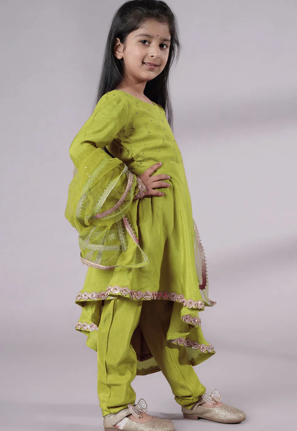 Embellished Shantoon Punjabi Suit in Olive Green