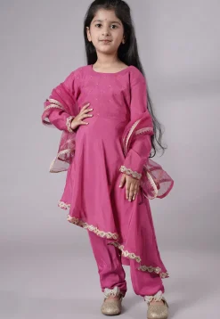 Embellished Shantoon Punjabi Suit in Pink