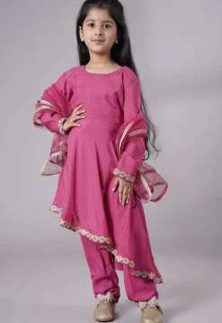 Embellished Shantoon Punjabi Suit in Pink