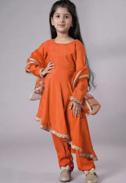 Embellished Shantoon Punjabi Suit in Dark Orange