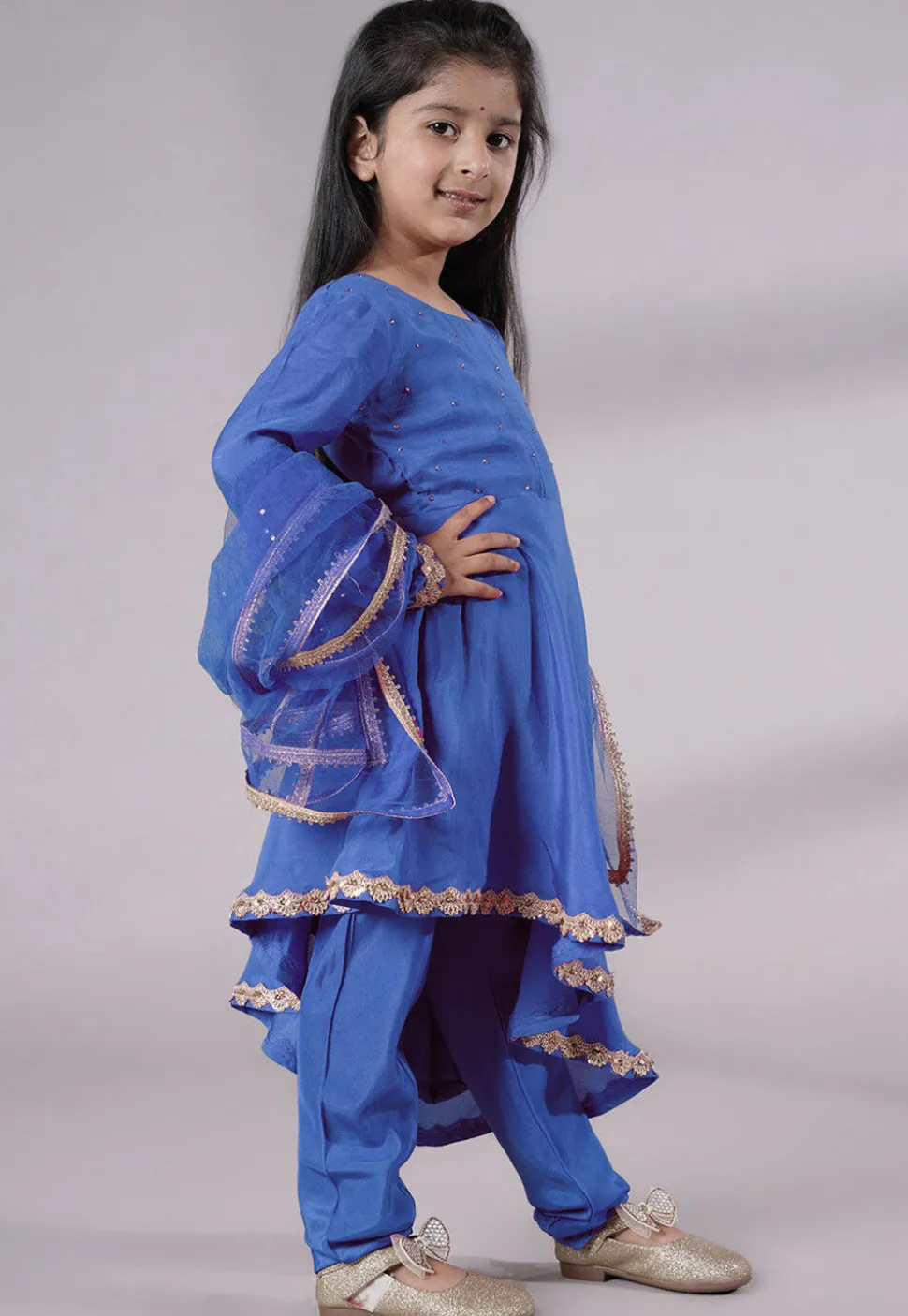 Embellished Shantoon Punjabi Suit in Light Blue