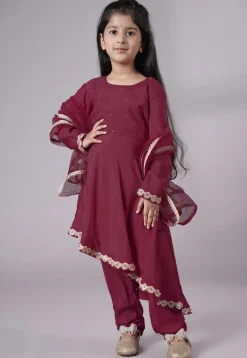 Embellished Shantoon Punjabi Suit in Wine