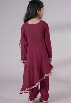 Embellished Shantoon Punjabi Suit in Wine