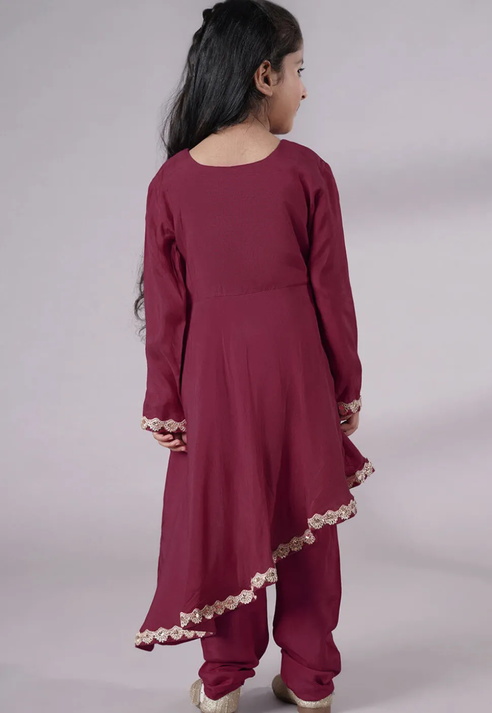 Embellished Shantoon Punjabi Suit in Wine