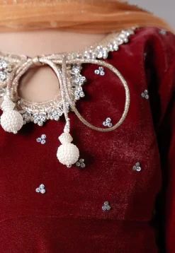 Embellished Velvet Pakistani Suit in Maroon