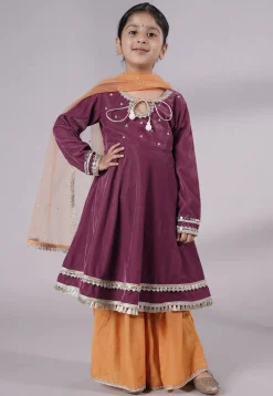 Embellished Velvet Pakistani Suit in Purple