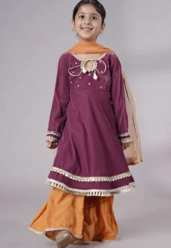 Embellished Velvet Pakistani Suit in Purple