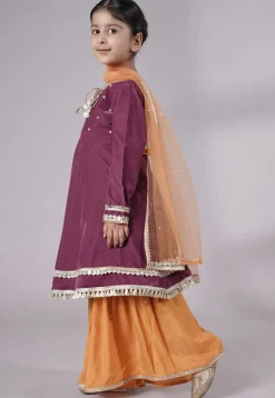 Embellished Velvet Pakistani Suit in Purple