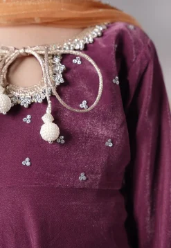 Embellished Velvet Pakistani Suit in Purple