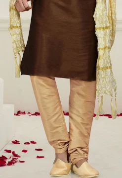 Embroidered Art Dupion Silk Kurta Set in Brown