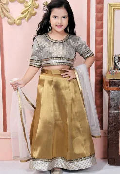 Embroidered Border Art Silk Lehenga in Golden