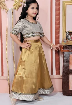 Embroidered Border Art Silk Lehenga in Golden