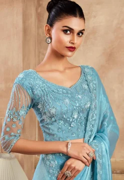 Embroidered Border Chiffon Silk Saree in Blue