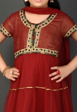 Embroidered Border Net Anarkali Suit in Maroon