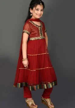 Embroidered Border Net Anarkali Suit in Maroon