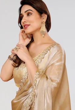 Embroidered Border Tissue Silk Saree in Beige
