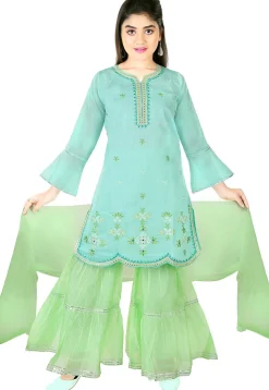 Embroidered Chanderi Cotton Pakistani Suit in Light Blue