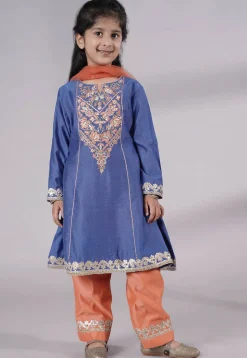 Embroidered Chanderi Silk Punjabi Suit in Blue