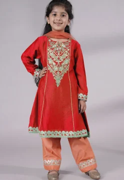 Embroidered Chanderi Silk Punjabi Suit in Red