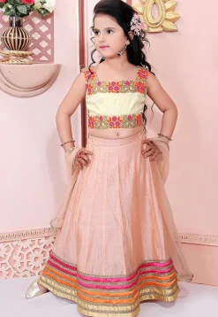 Embroidered Chanderi Silk Lehenga in Peach