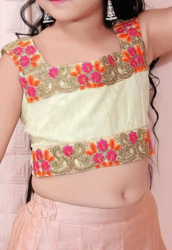 Embroidered Chanderi Silk Lehenga in Peach