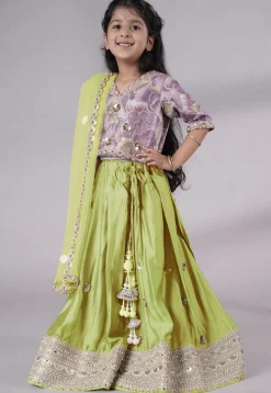 Embroidered Chanderi Silk Lehenga in Olive Green