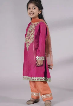 Embroidered Chanderi Silk Punjabi Suit in Magenta