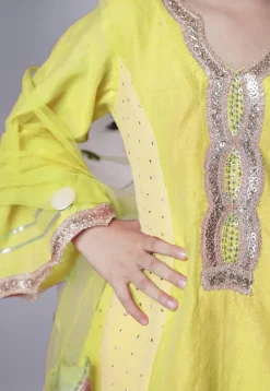 Embroidered Chanderi Silk Punjabi Suit in Yellow
