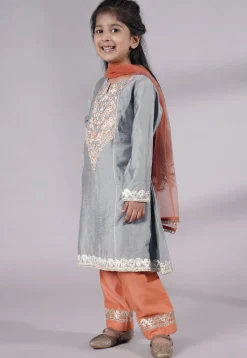 Embroidered Chanderi Silk Punjabi Suit in Grey