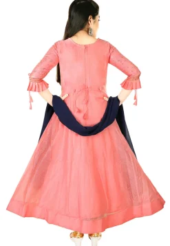 Embroidered Chanderi Silk Gown in Peach