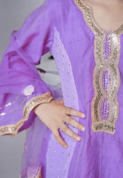 Embroidered Chanderi Silk Punjabi Suit in Light Purple