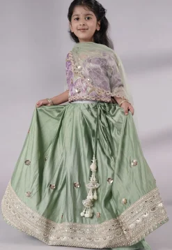 Embroidered Chanderi Silk Lehenga in Green