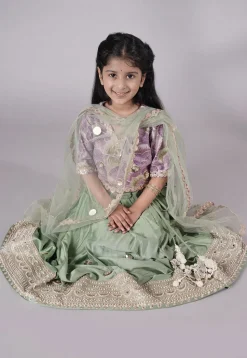 Embroidered Chanderi Silk Lehenga in Green
