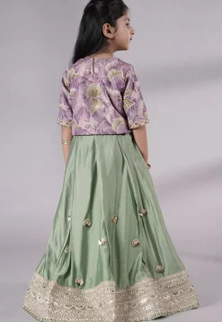 Embroidered Chanderi Silk Lehenga in Green
